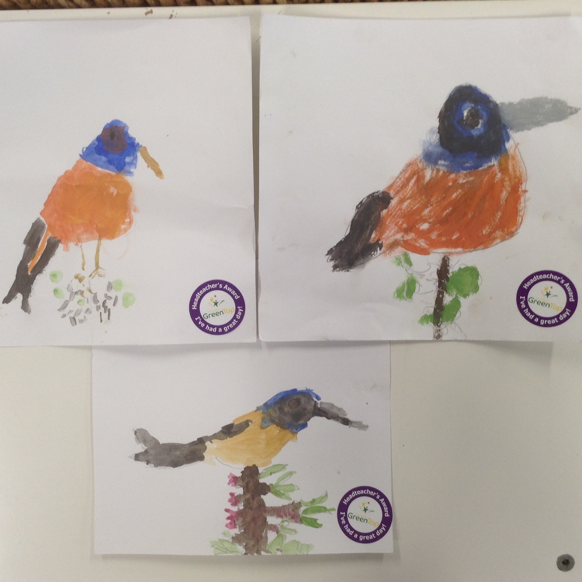 class 4 bird artwork