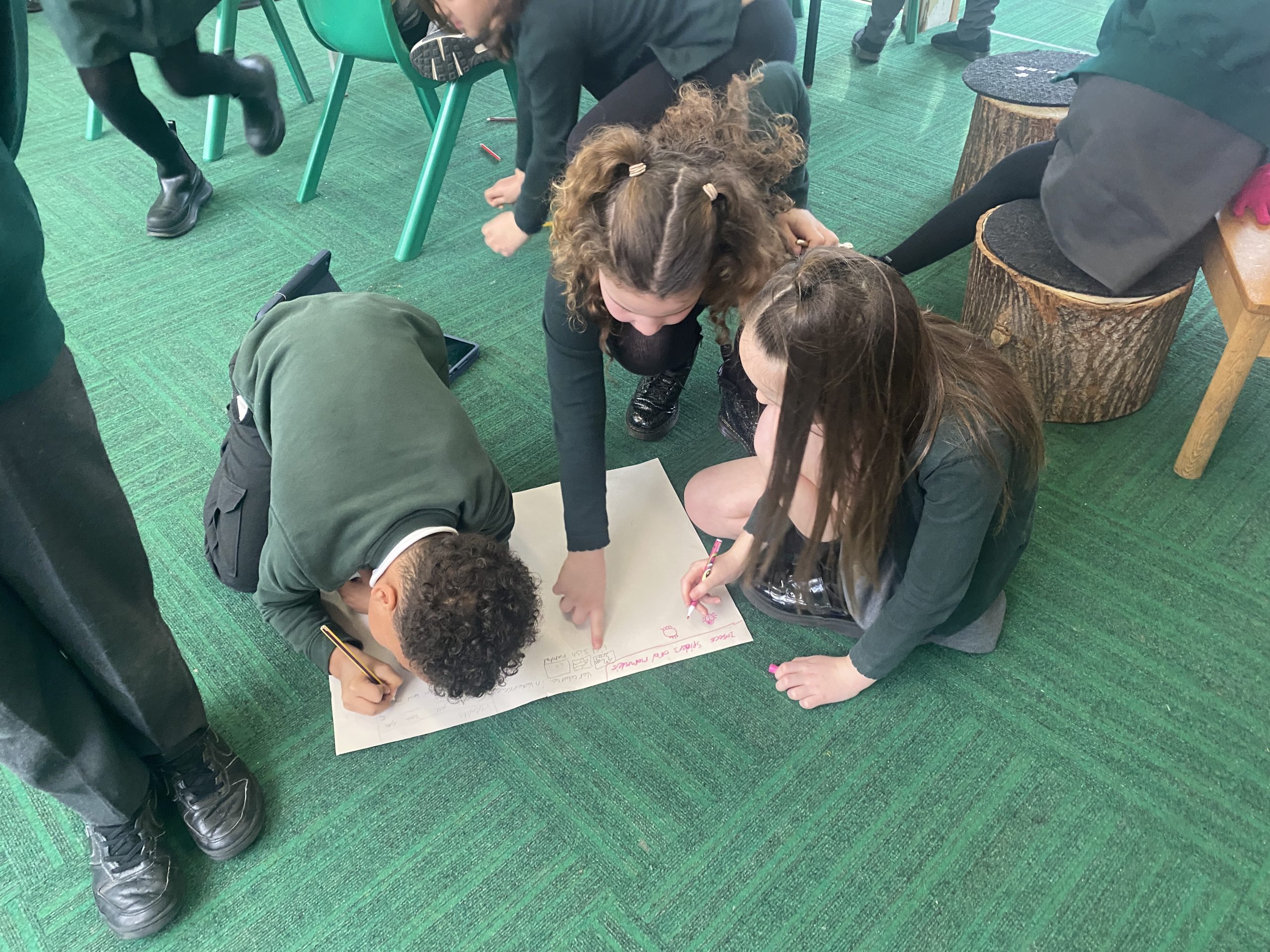 Crew Knowles Roll on the wall! Green Top School