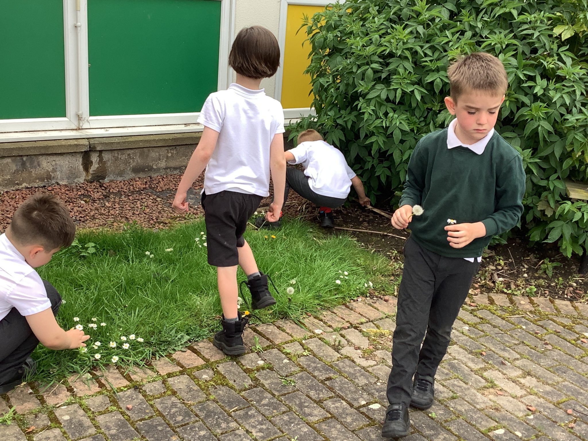 KS1 art club Green Top School