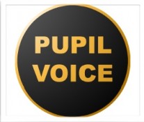 Pupil Voice
