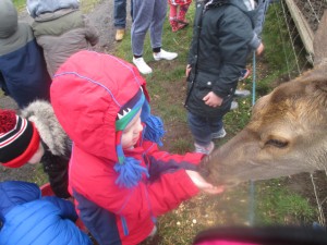 IMG_1615