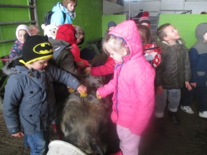 IMG_1658