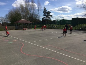 IMG_0185