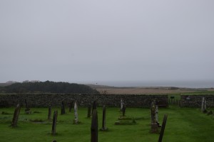 DSC_2184