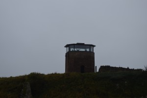 DSC_2229