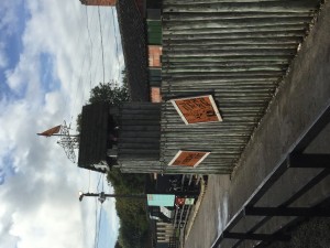 IMG_0167