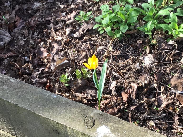 Spring!
