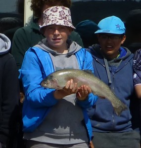 cam5lb