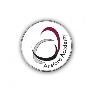 Ansford Academy