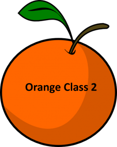 Orange Class 2