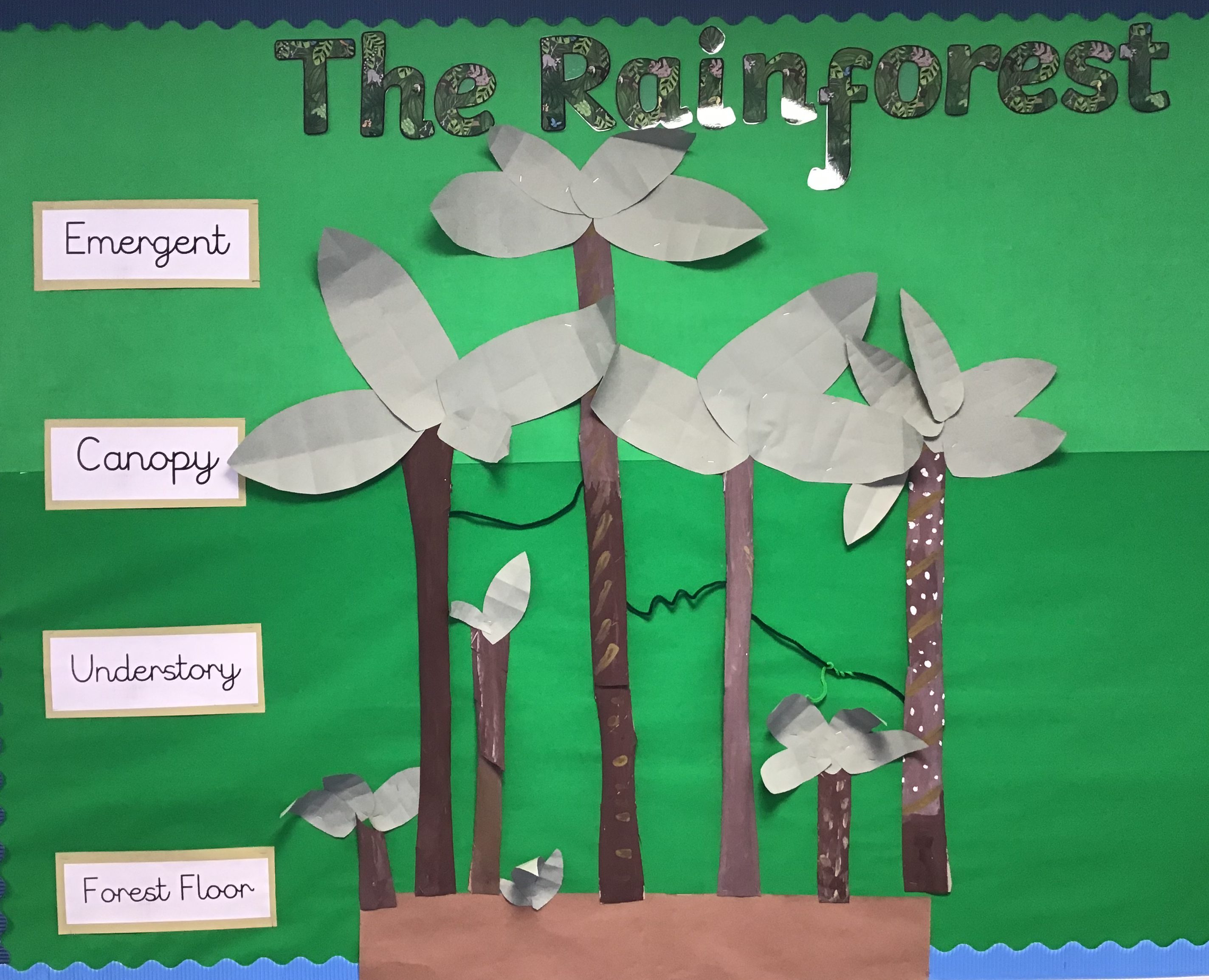 The Amazon Rainforest Fellgate Primary School The Amazon Rainforest Fellgate Primary School