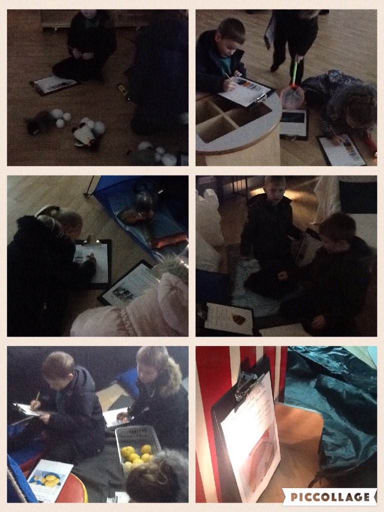 Arctic vs antarctic image