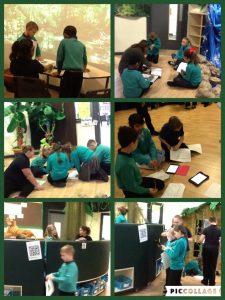 rainforest qr hunt 2