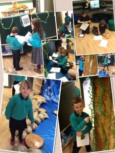 rainforest qr hunt