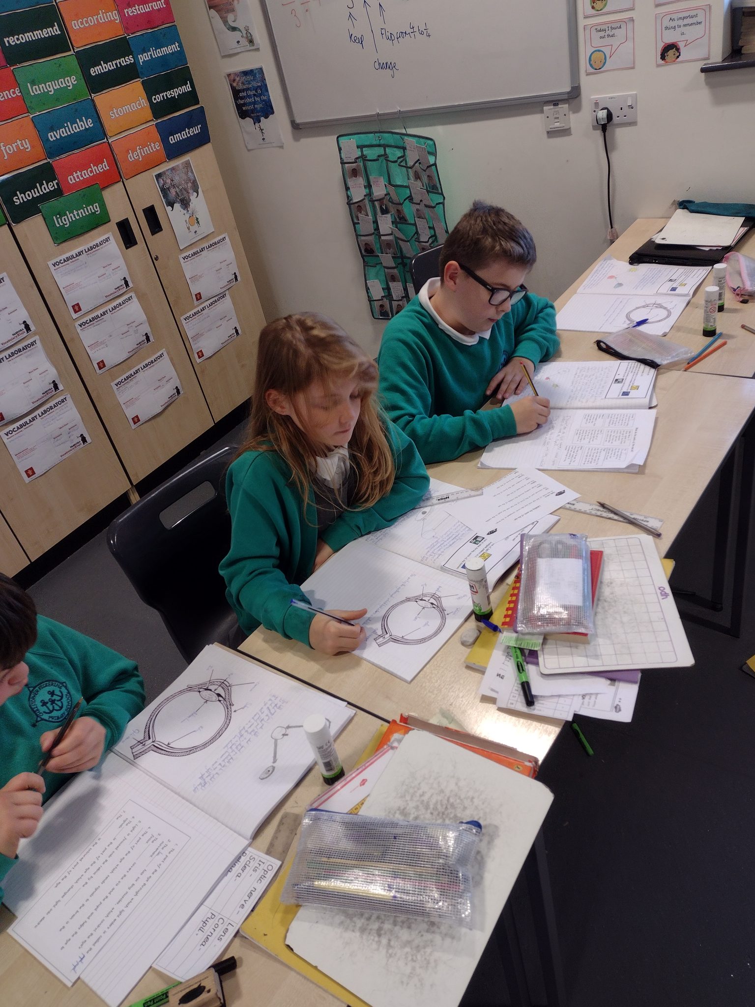 Year 6 Science | Christopher Pickering Primary School