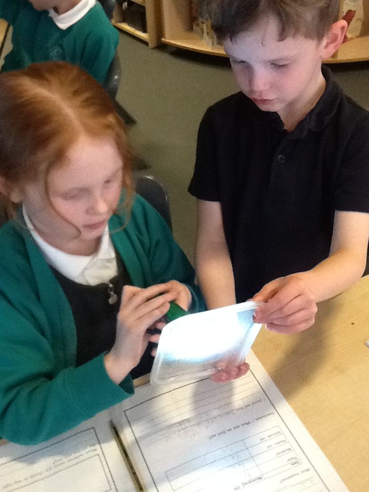 Year 2 science materials which materials will block the light the