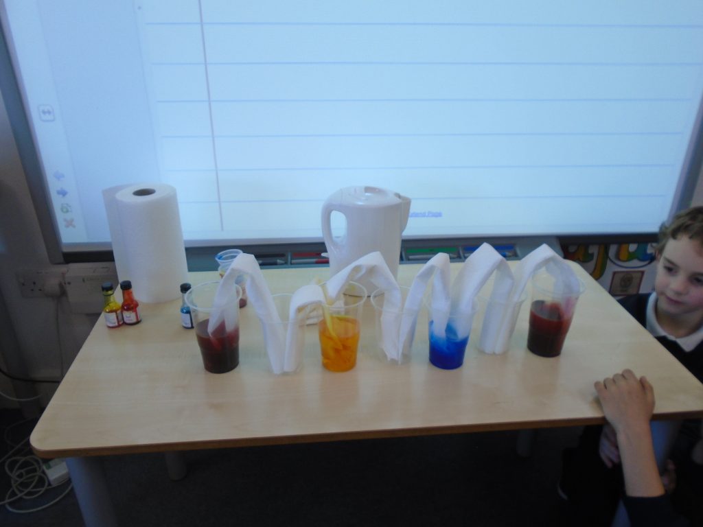 Year 3 Science Experiment | Stanhope Primary School