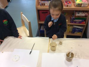 IMG_1613(1)