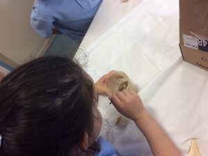 IMG_1625