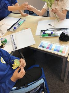 In science, we have been looking at reproduction in plants. We dissected some flowers and identified each section of the flower.