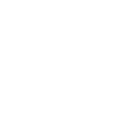 UCL Academy Logo