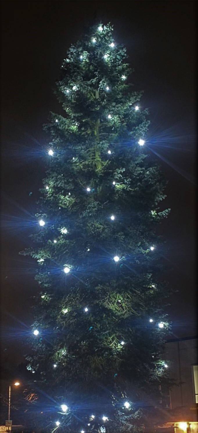 Christmas Tree Blessing St Edmund's Catholic Academy