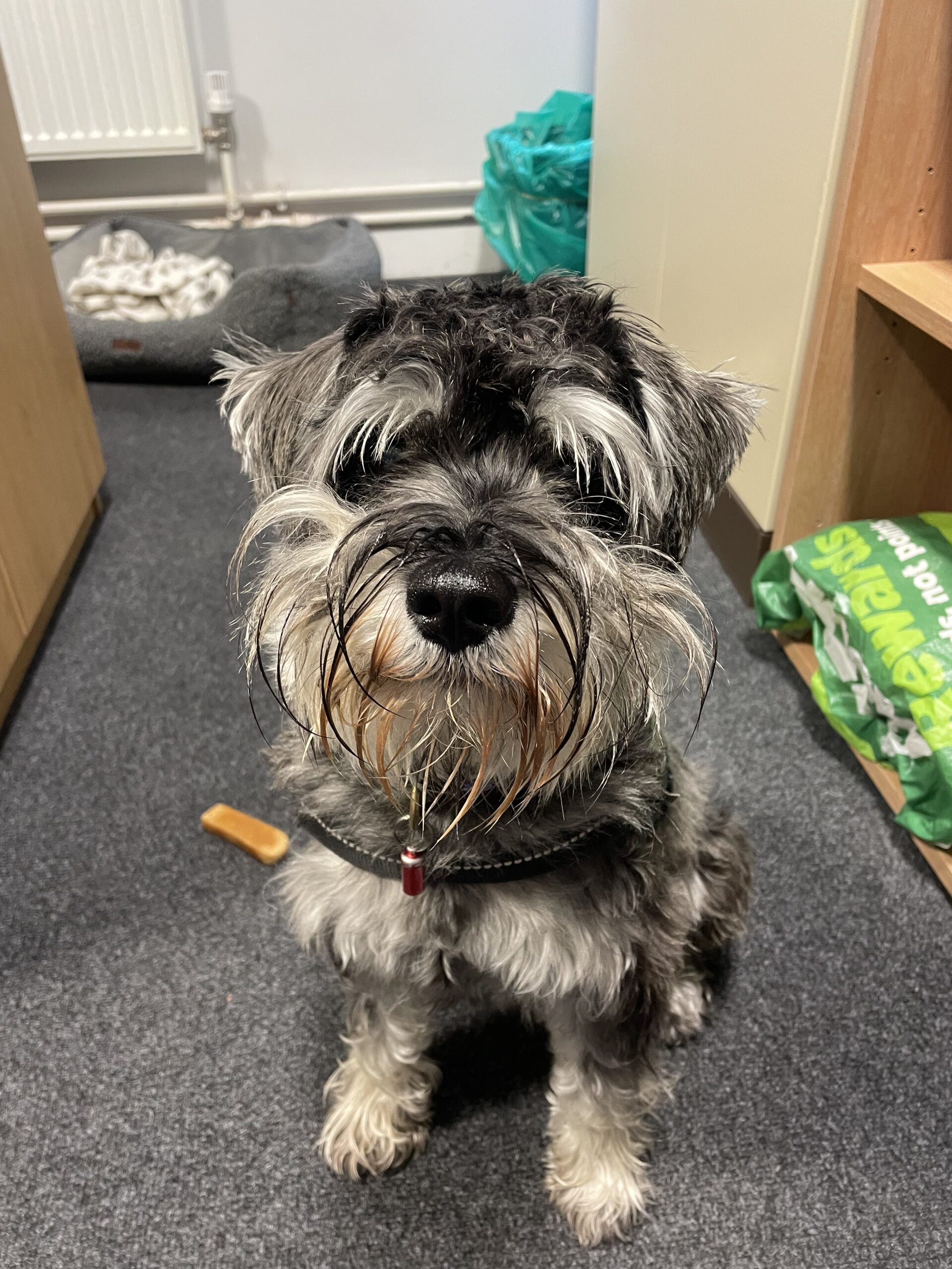 Rowan Ridley St Edmund's Catholic Academy