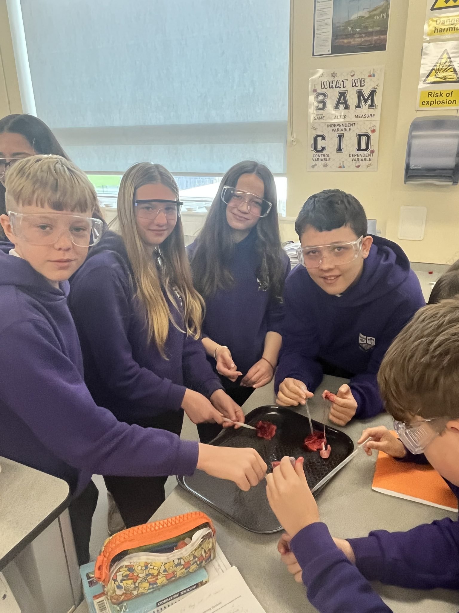 Year 8 Lung Dissection | Marden High School