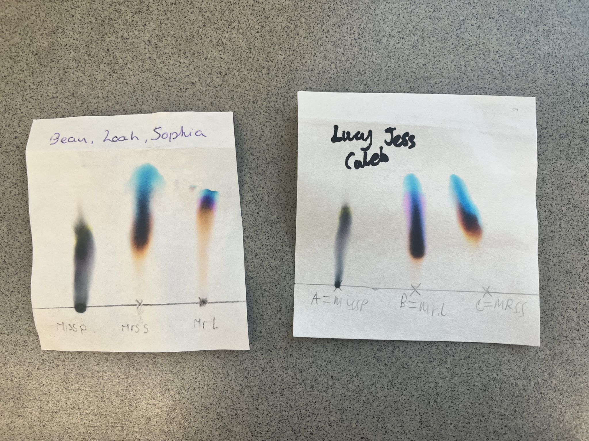 Chromatography Marden High School
