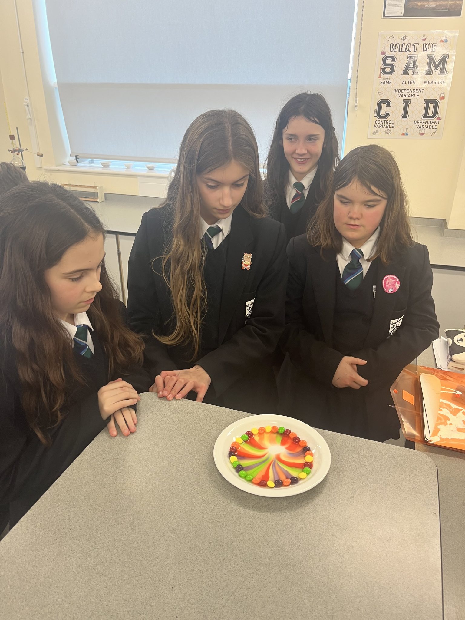 Chromatography Marden High School