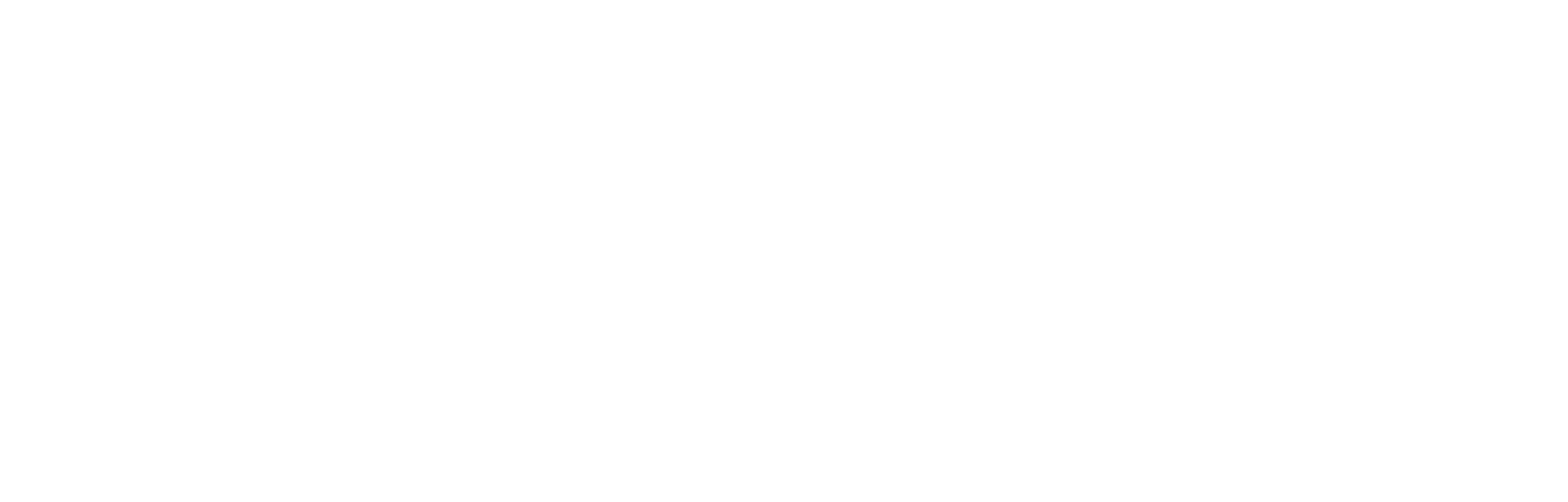 Castle Academy Logo