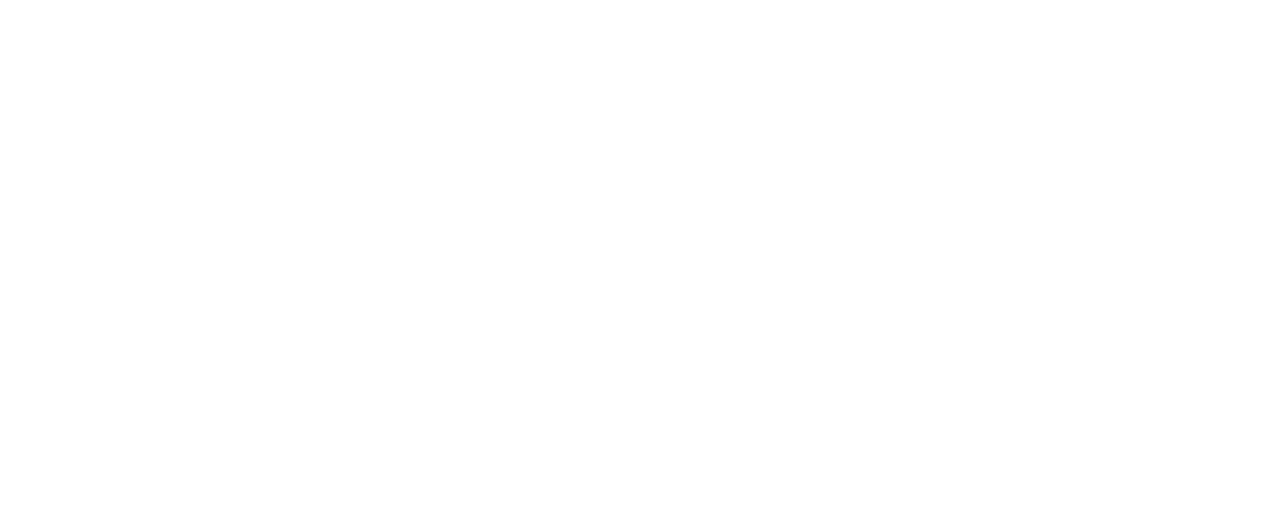 Denaby Main Academy Logo