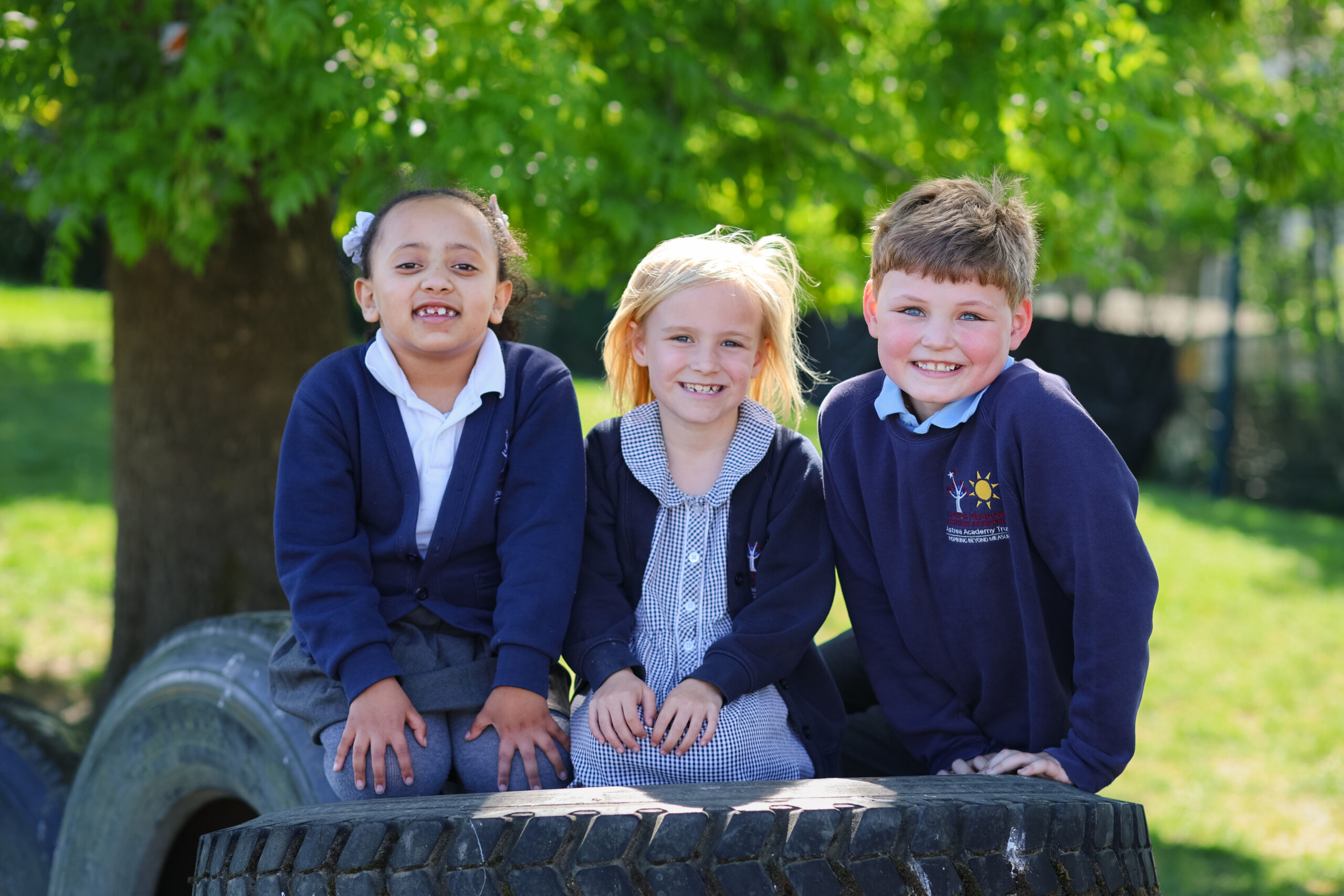 Lower Meadow Primary School photo