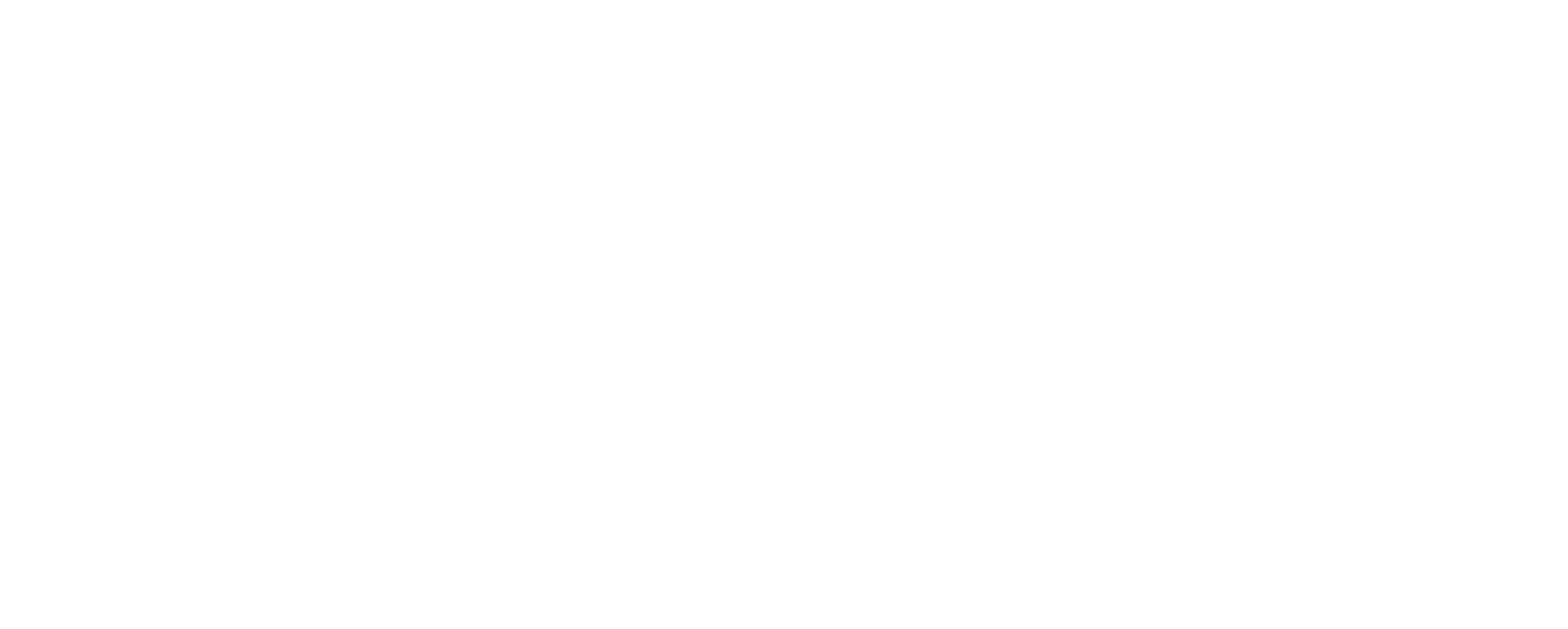 Netherwood Academy Logo