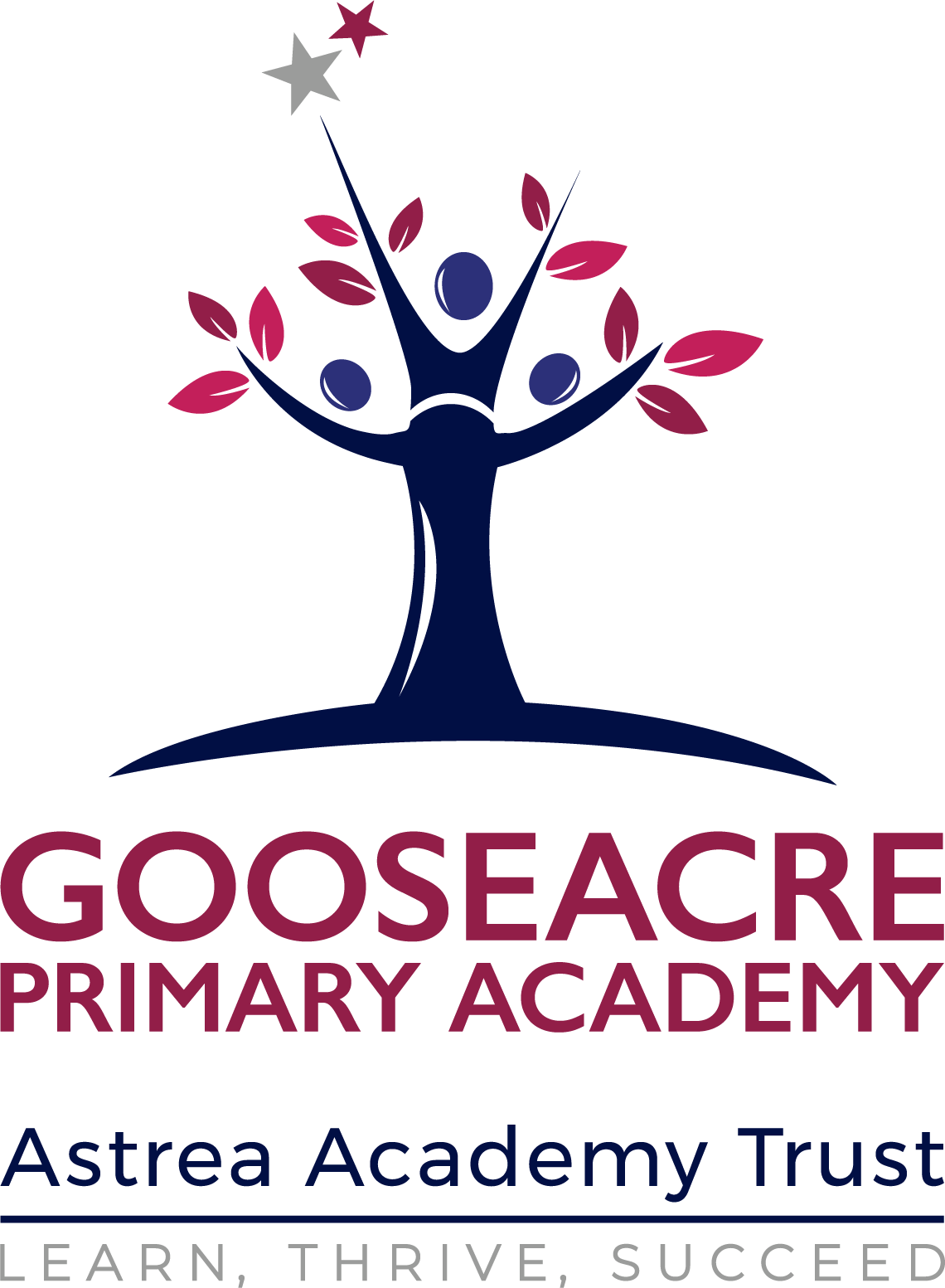 Gooseacre Primary Academy :