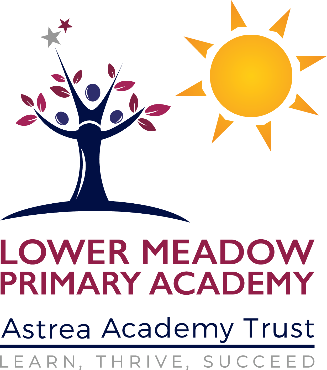 Lower Meadow Primary Academy :