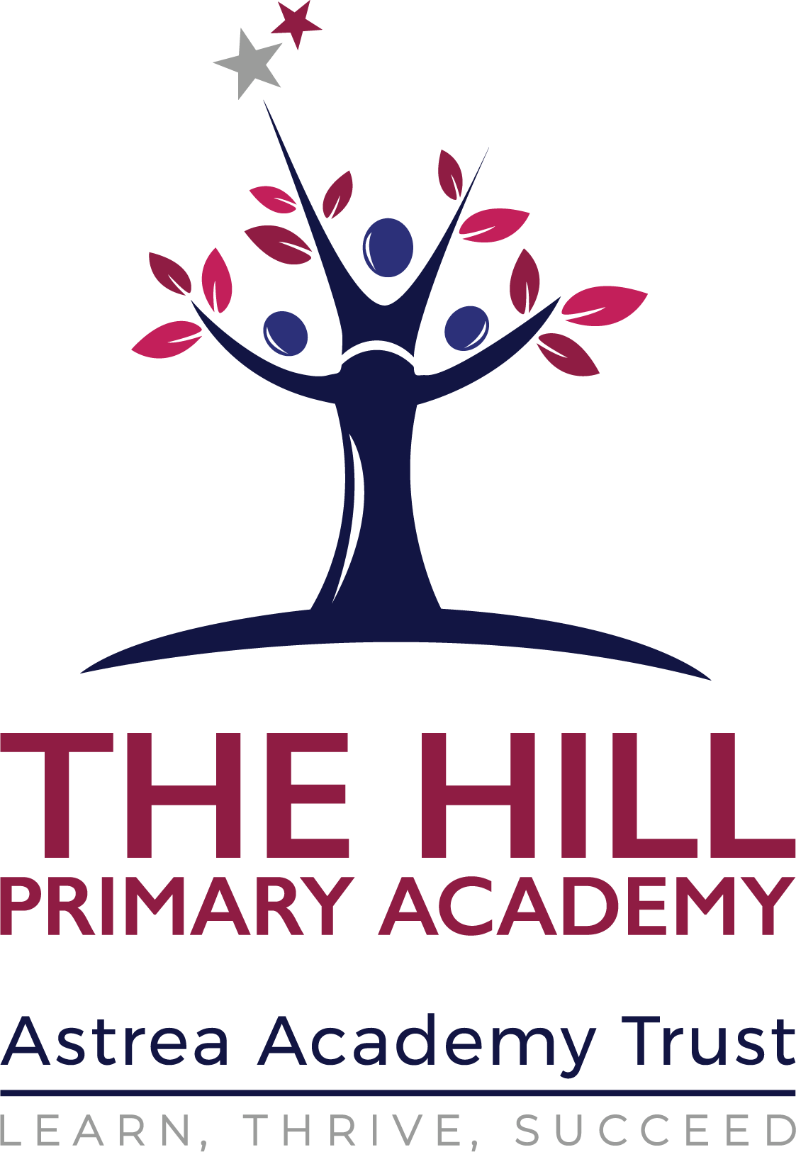 The Hill Primary Academy :