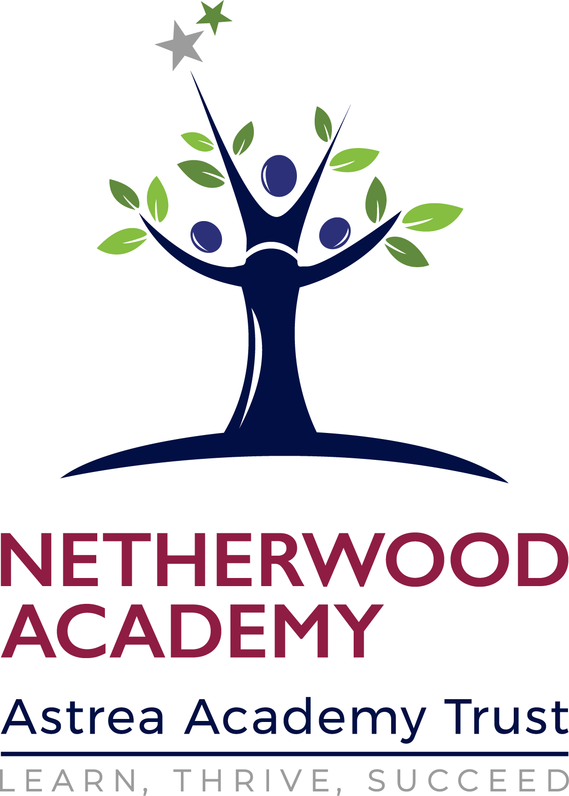 Netherwood Academy :
