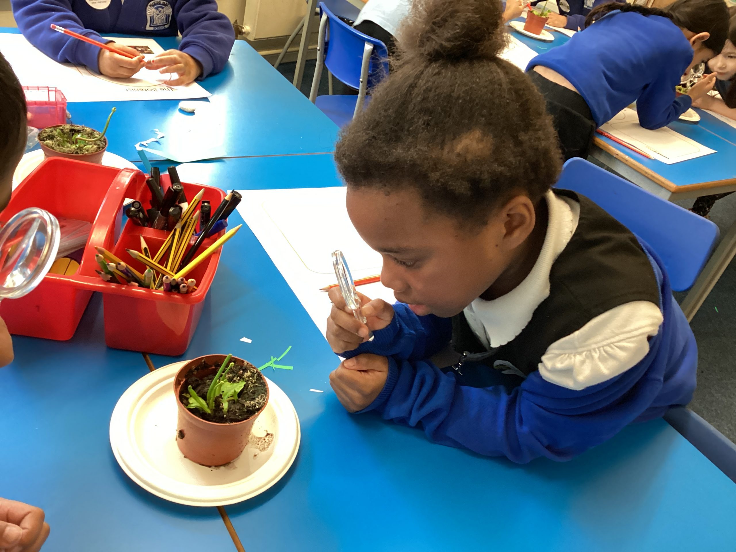 KS1 Botanist Marine Park Primary School