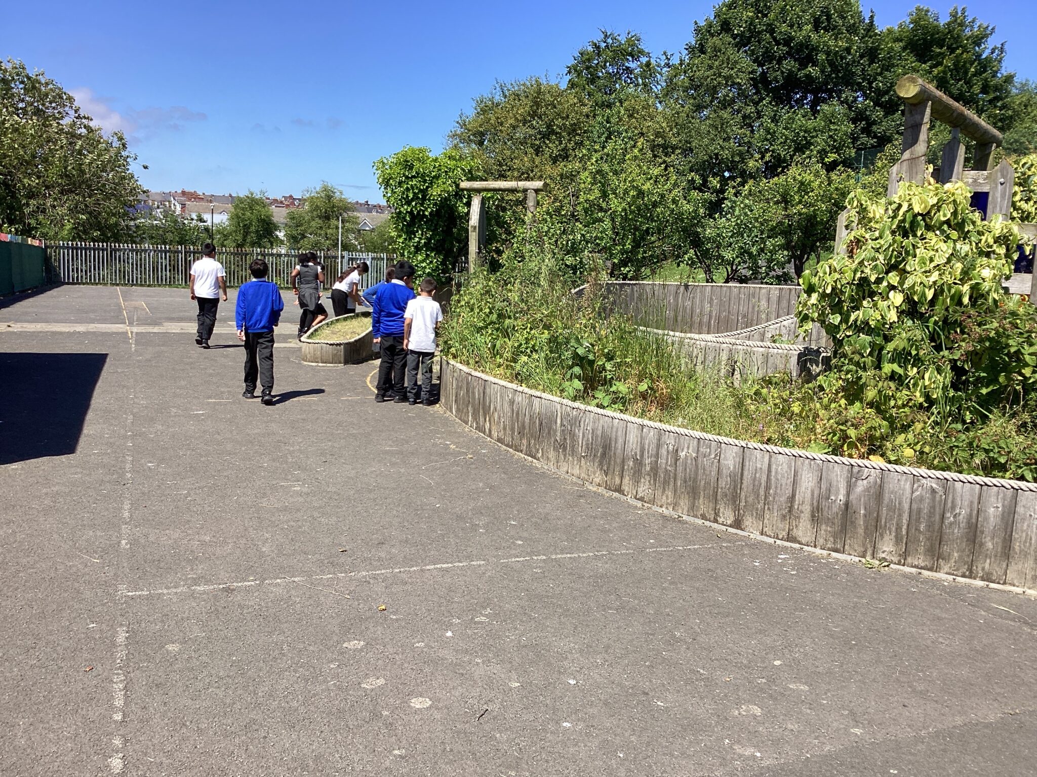 Year 4 – Habitat Heroes | Marine Park Primary School