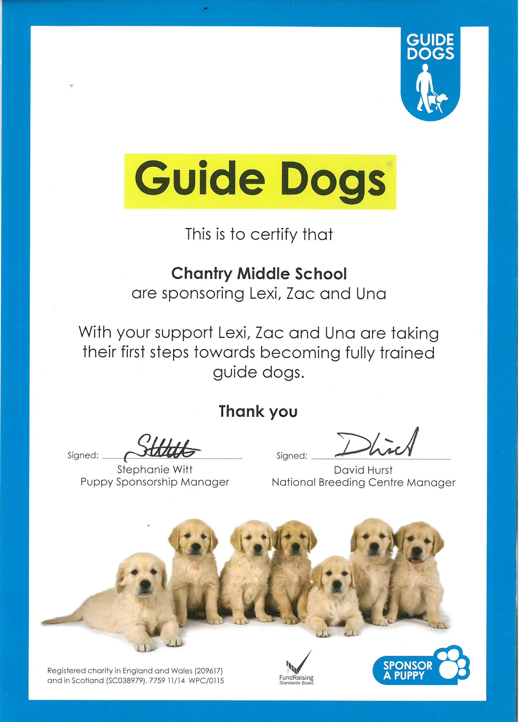 Pup certificate