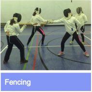 Fencing link