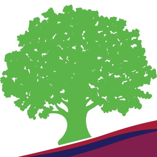 Rachael McKinney : Head of Faculty, NBHS