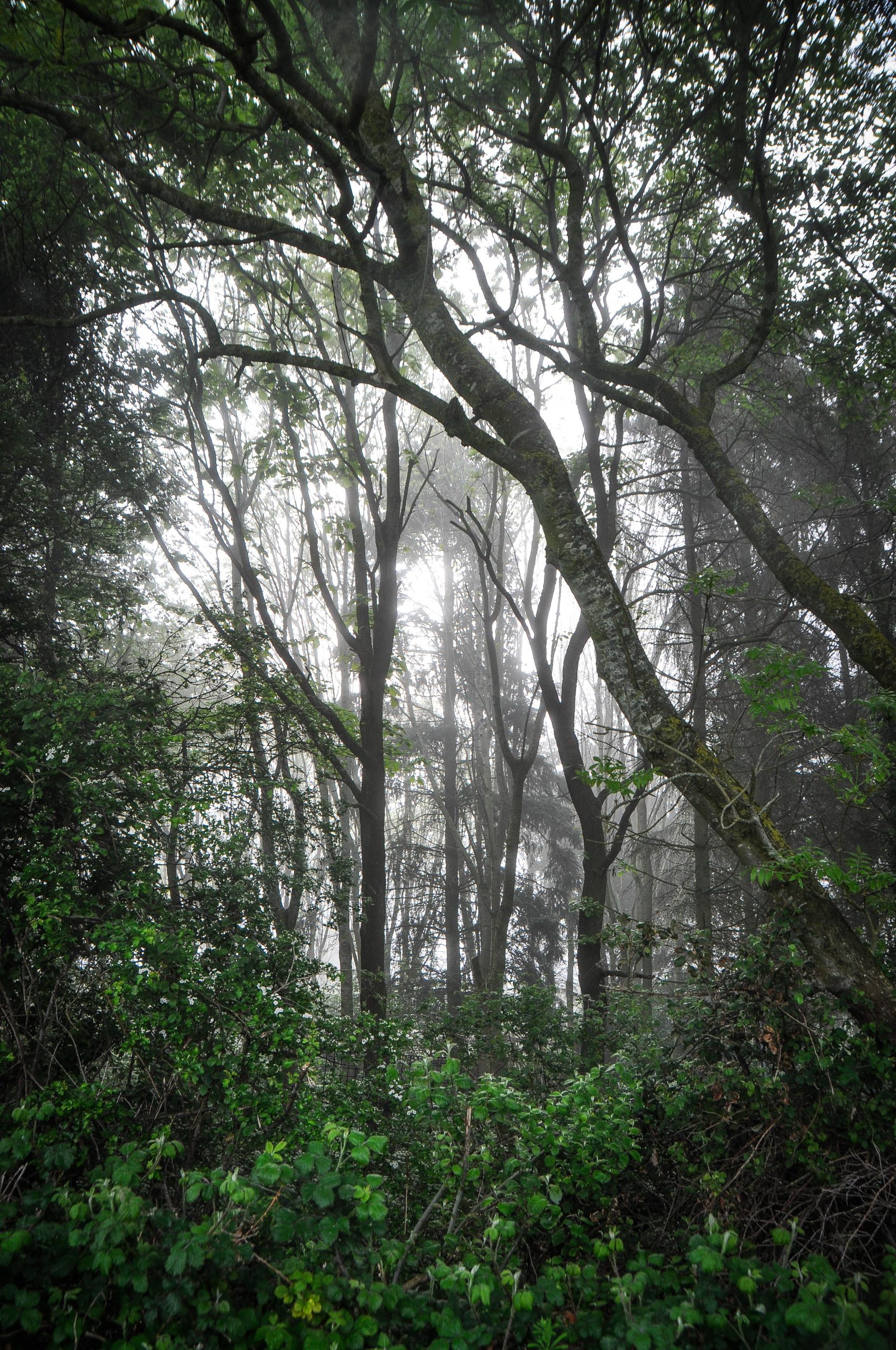 Bronze D of E expedition Studley High School