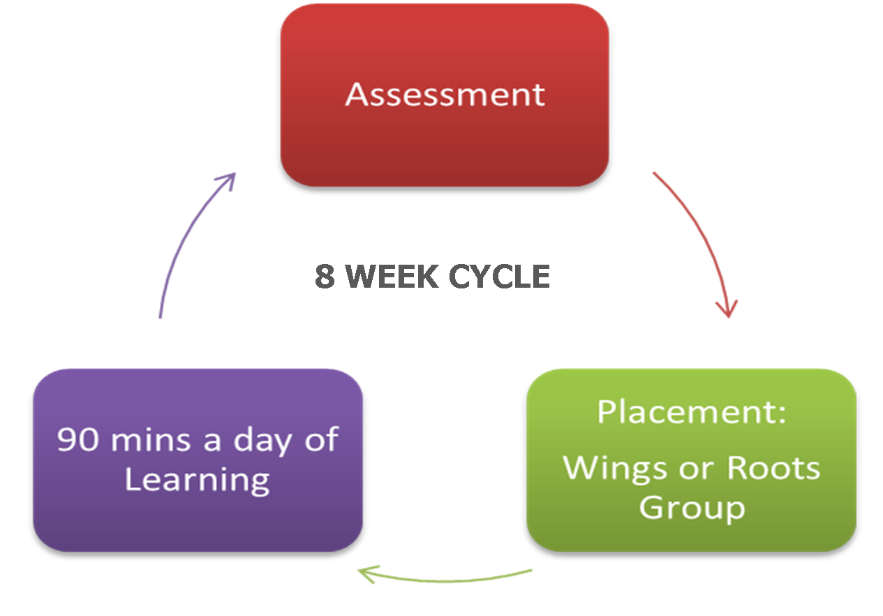 SFA Cycle