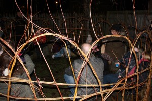 IMG_8805