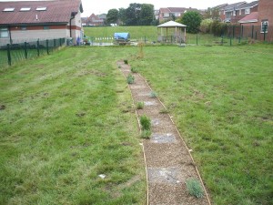 field21