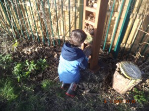 Caring for bugs