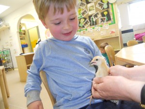 Joe is giving this lovely chick a cuddle.