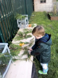 IMG_20110305_141016